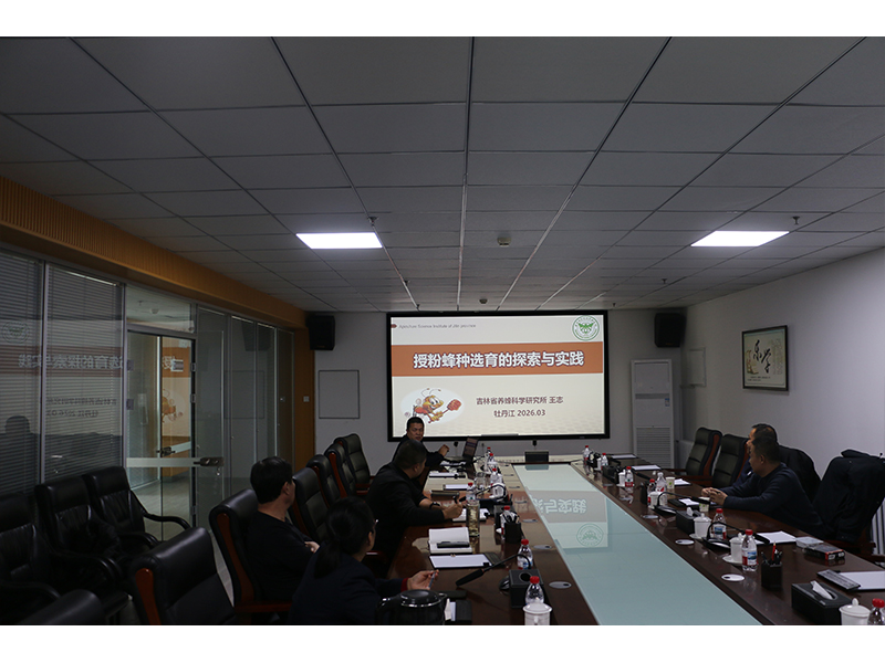 1773391570428420.jpg 未标题-3.jpg