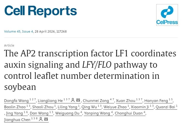 1779759433481895.png 图片2.png